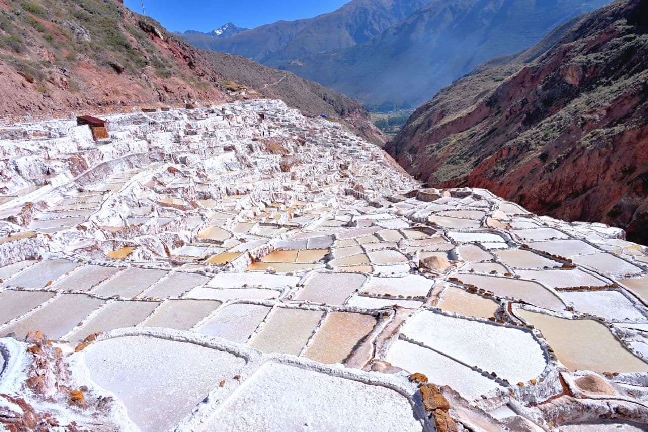 Maras